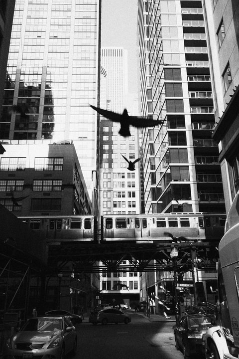 Thumbnail of LUMIX G9II2