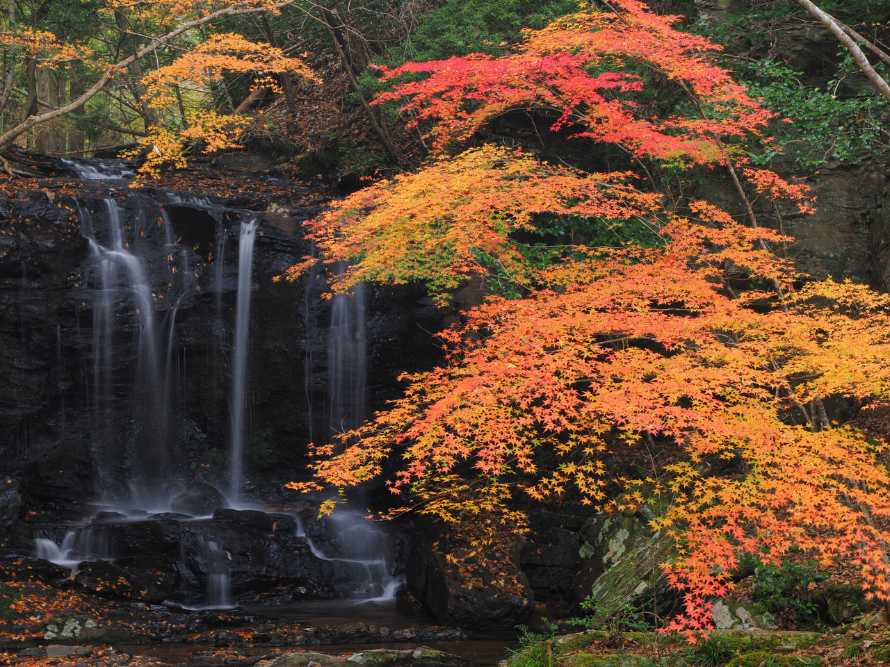 M.Zuiko Digital ED 12-40mm F2.8 PRO IIの製品写真 3