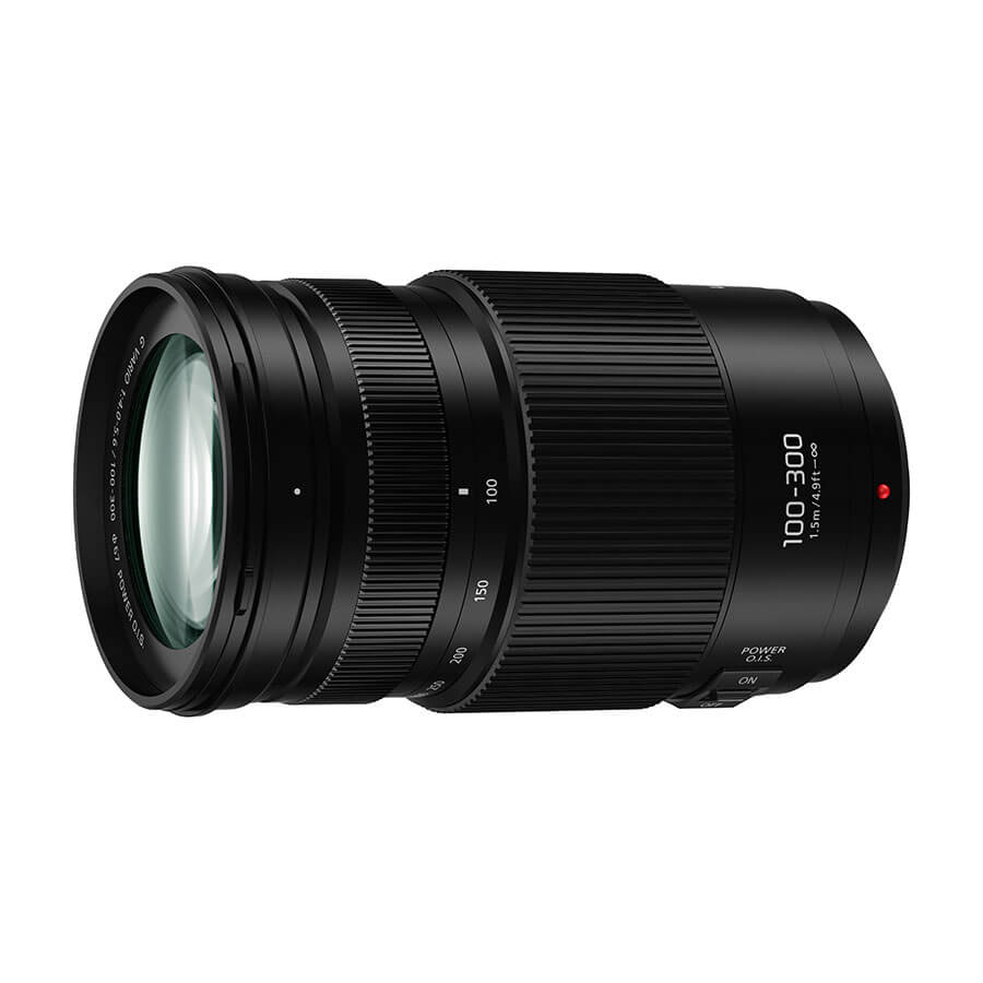 LUMIX G VARIO 100-300mm F4.0-5.6 Ⅱ POWER O.I.S.の写真 1