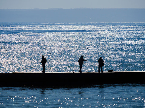 LEICA DG VARIO-ELMARIT 50-200mm F2.8-4.0 ASPH. POWER O.I.S.のサムネイル写真 1