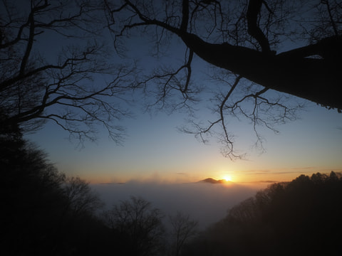 M.Zuiko Digital ED 8-25mm F4.0 PRO Lensのサムネイル写真 1