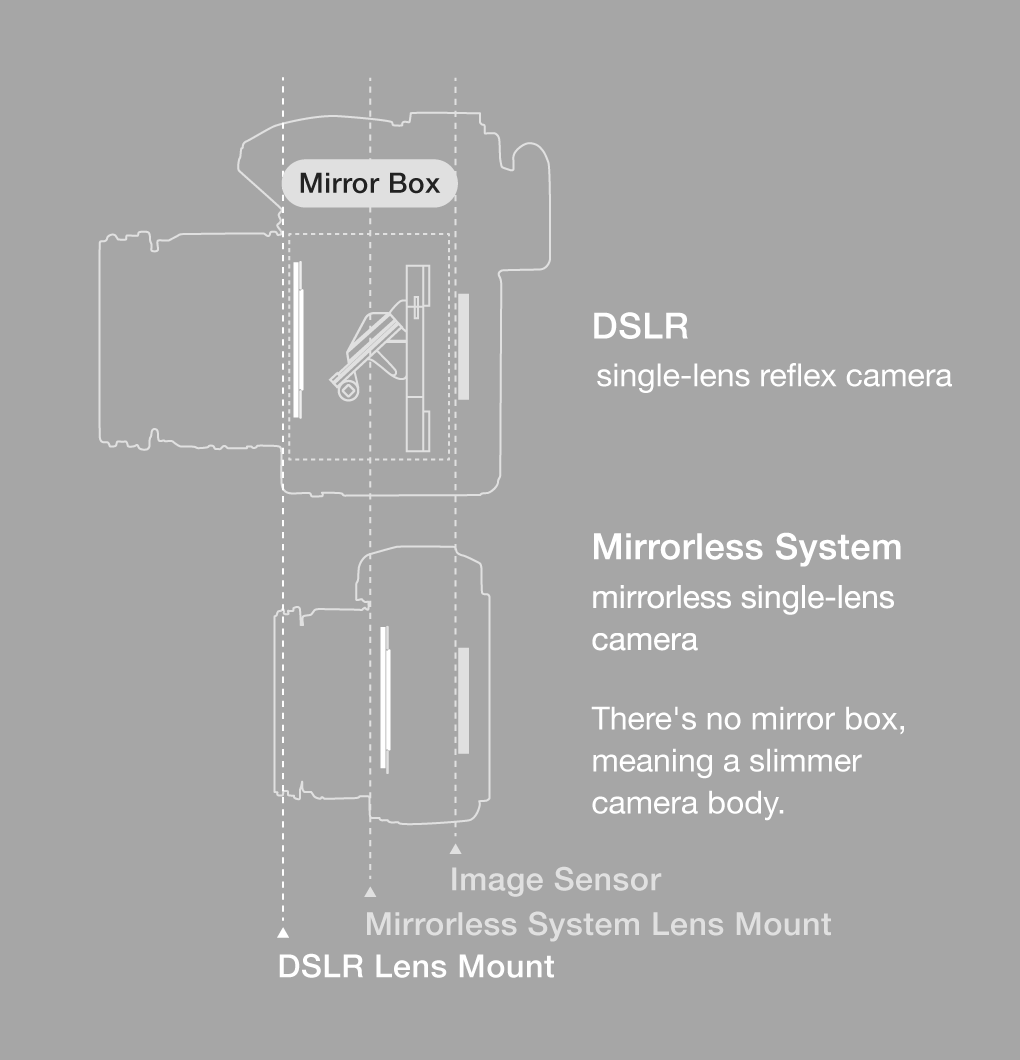 Mirrorless System mirrorless single-lens camera Mirrorless System There's no mirror box, meaning a slimmer camera body. Image Sensor Mirrorless System Lens Mount DSLR Lens Mount