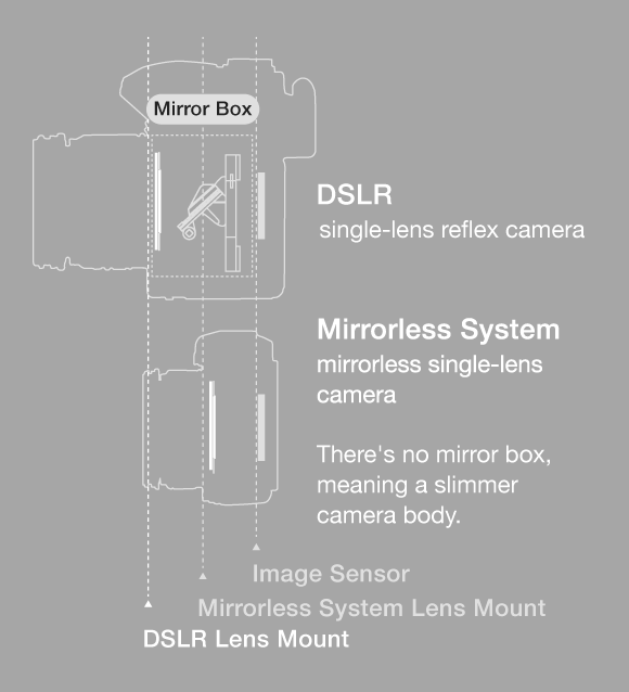 35-mm lens Micro Four Thirds system lens Almost the half lens size for equivalent brightness and the same angle of view