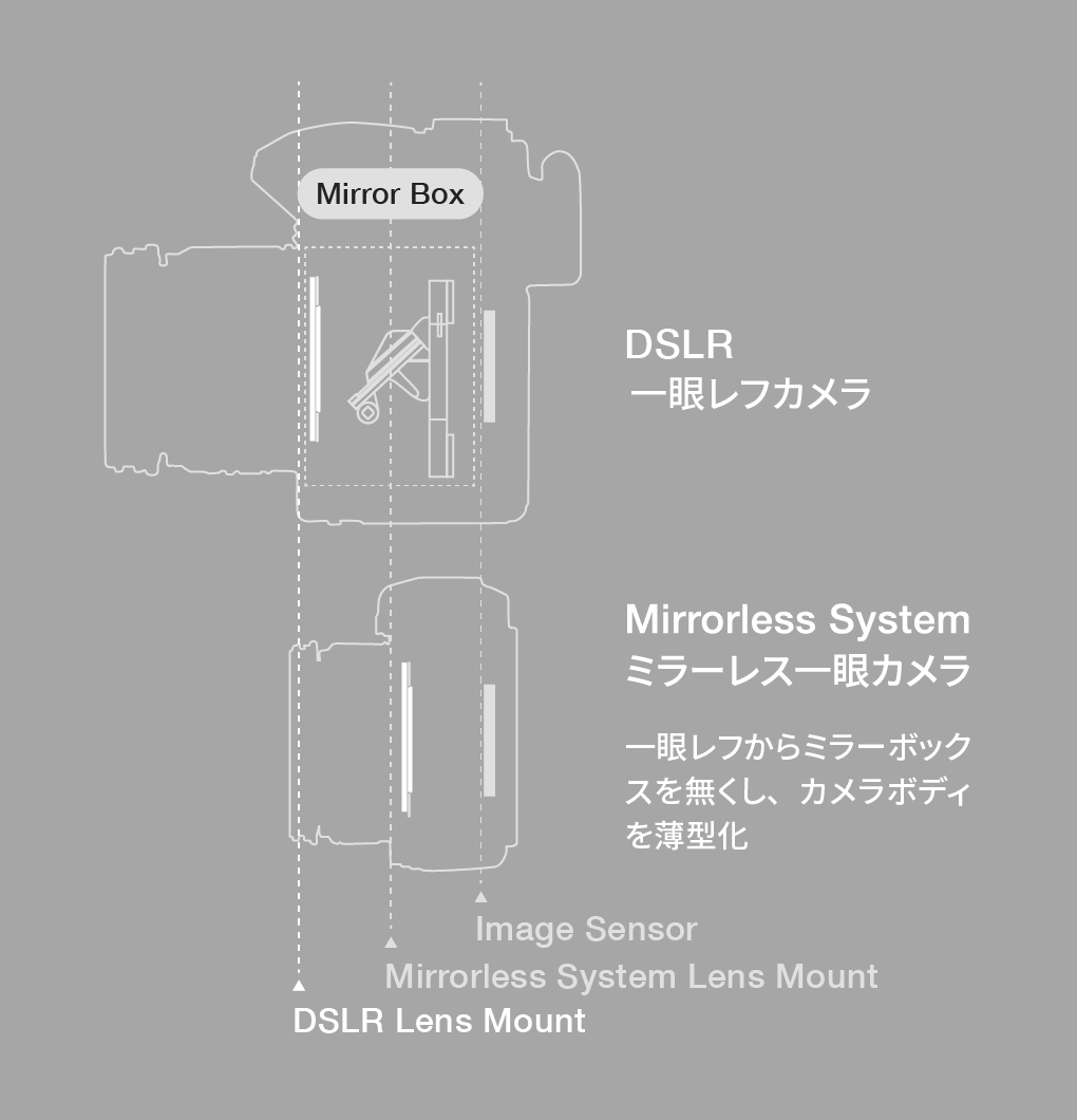 Mirror Box DSLR 一眼レフカメラ Mirrorless System ミラーレス一眼カメラ 一眼レフからミラーボックスを無くし、カメラボディーを薄型化 Image Sensor Mirrorless System Lens Mount DSLR Lens Mount