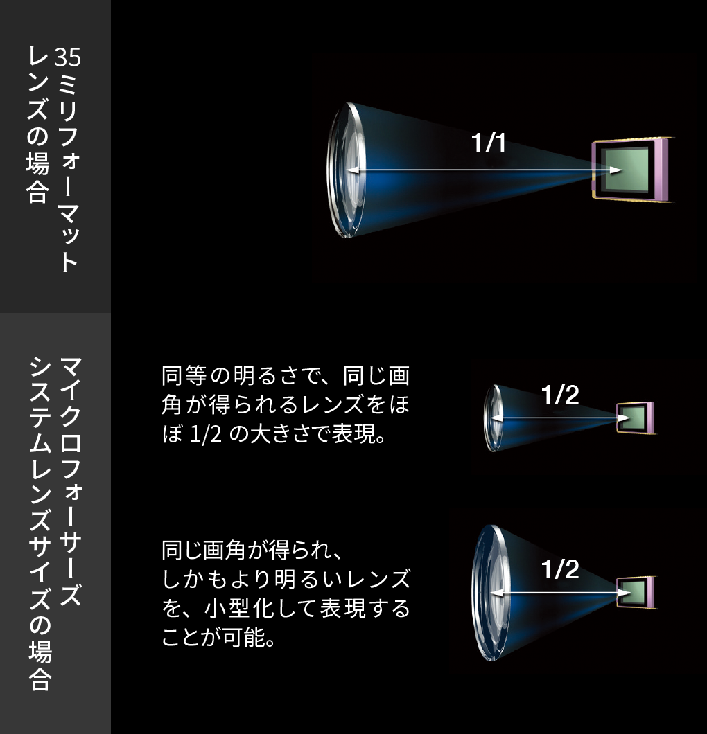 レンズサイズの比較（模式図）