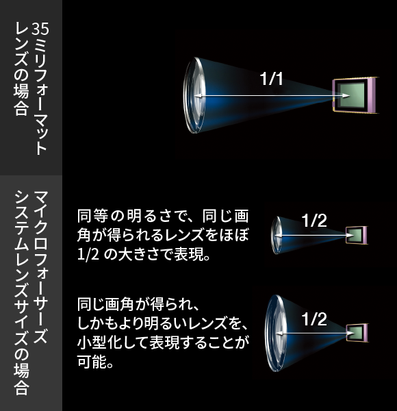 レンズサイズの比較（模式図）