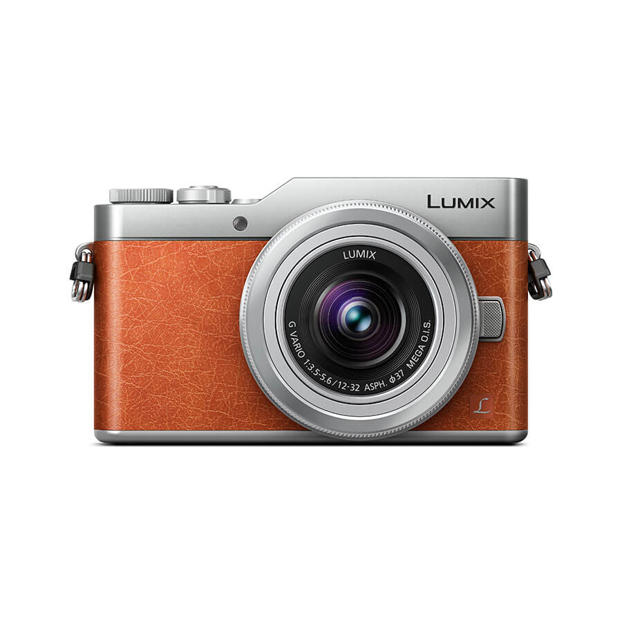 LUMIX ルミックス　DC-GF9 本体