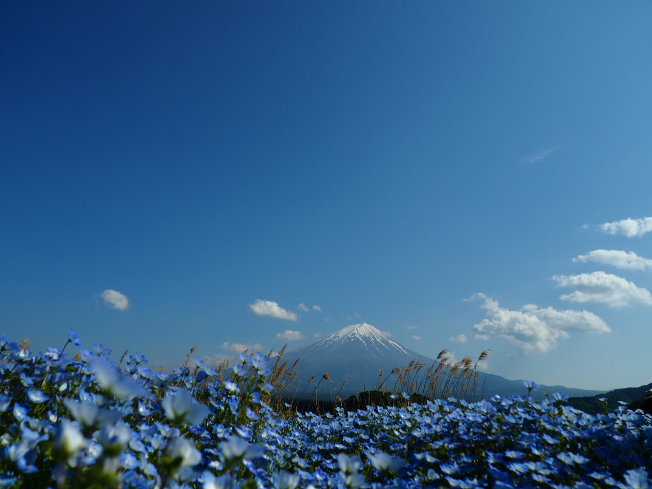 M.ZUIKO DIGITAL 14-42mm F3.5-5.6 IIIの製品写真 2